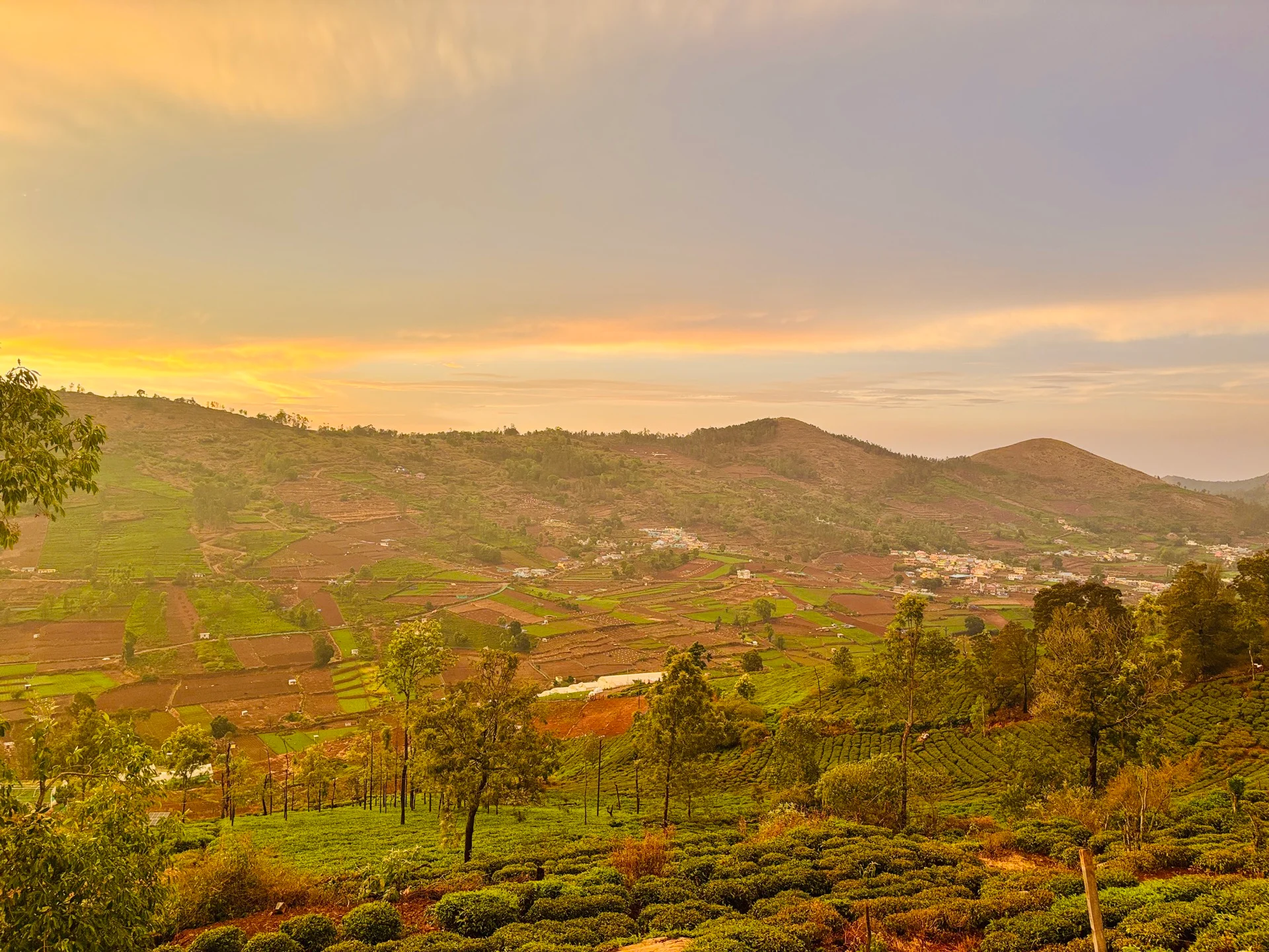 Terraced agriculture farms lining the valleys of Thoraihatty