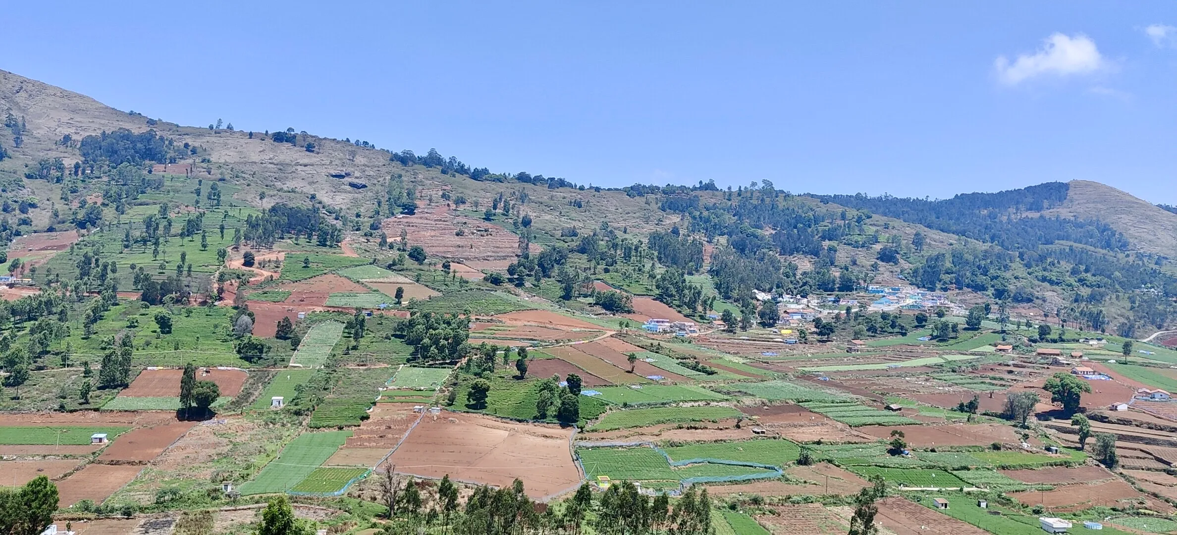 Terraced agricultural farmland in the Nilgiris during the summer months