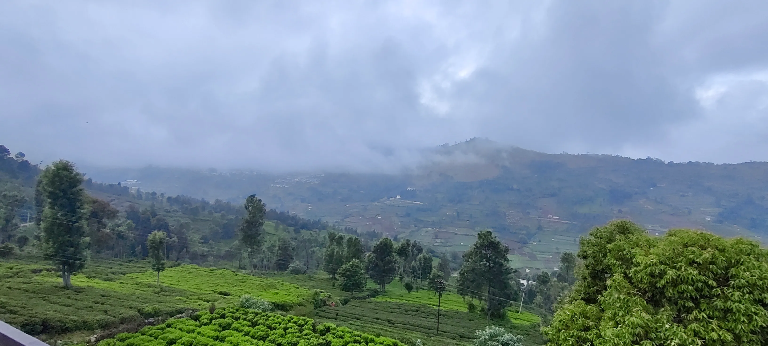 Nilgiri mountains and tea garden slopes during late September post-monsoon freshness