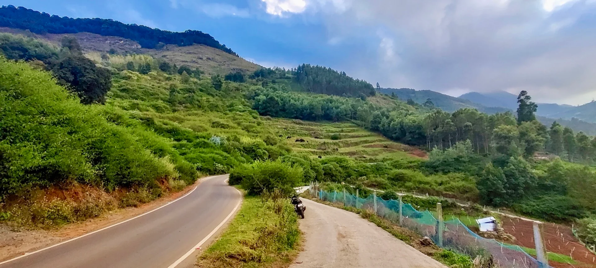 Lush tea estate with a factory building in Maragal