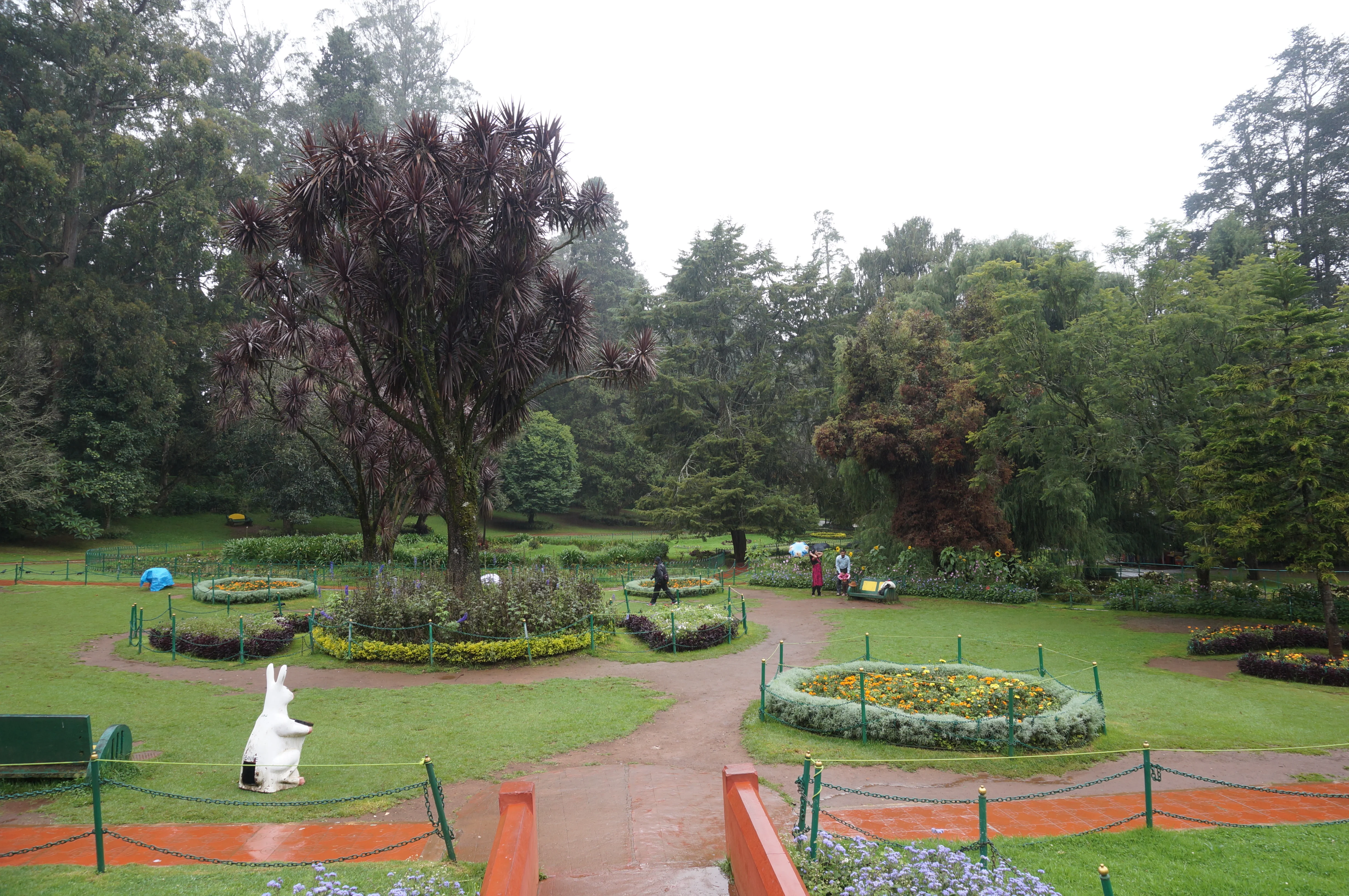 Highfield Tea Estate & Factory