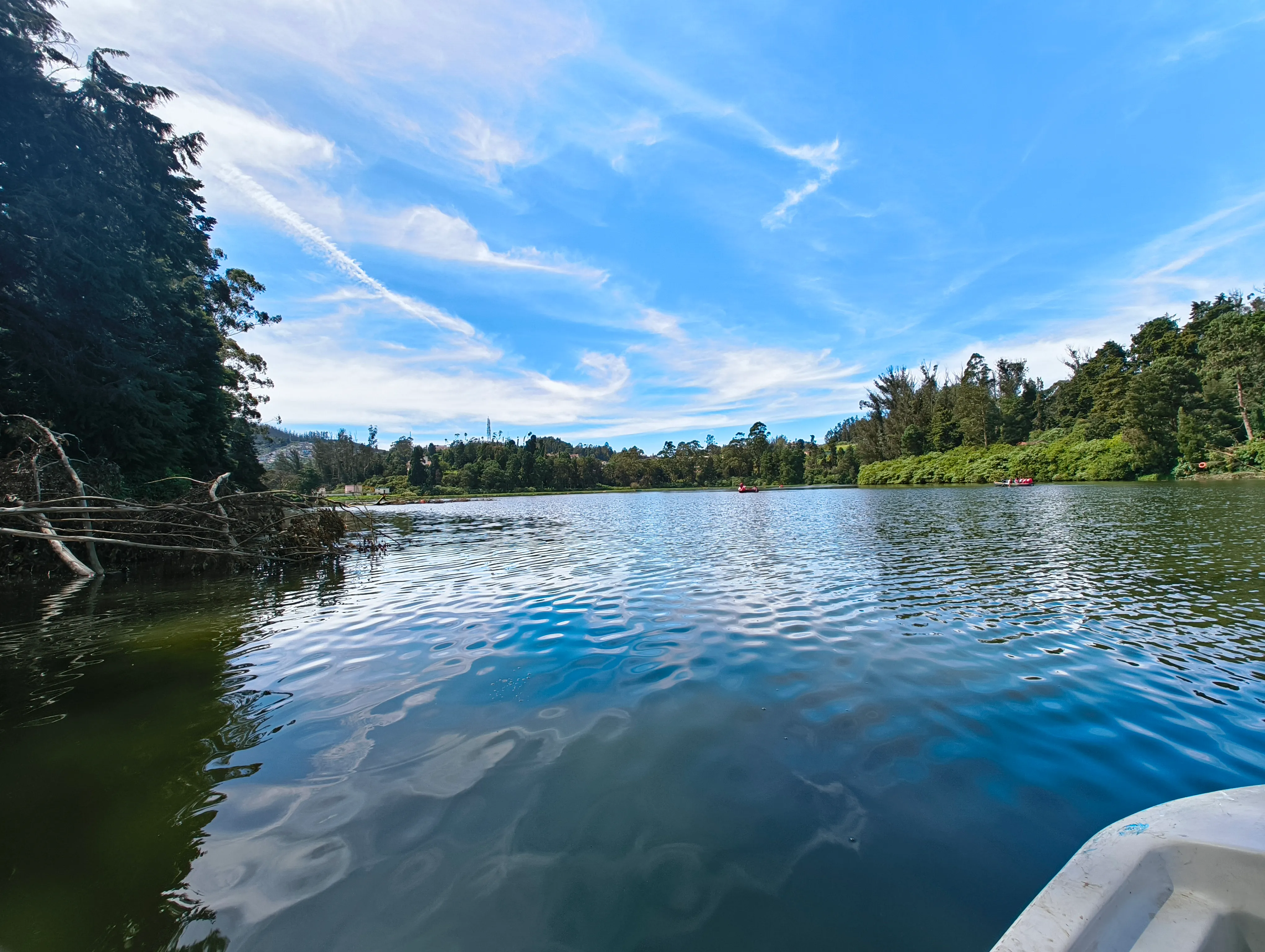 Boating on Ooty Lake surrounded by eucalyptus trees