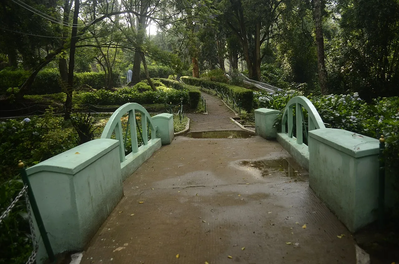 Terraced botanical lawns at Sim's Park in Coonoor