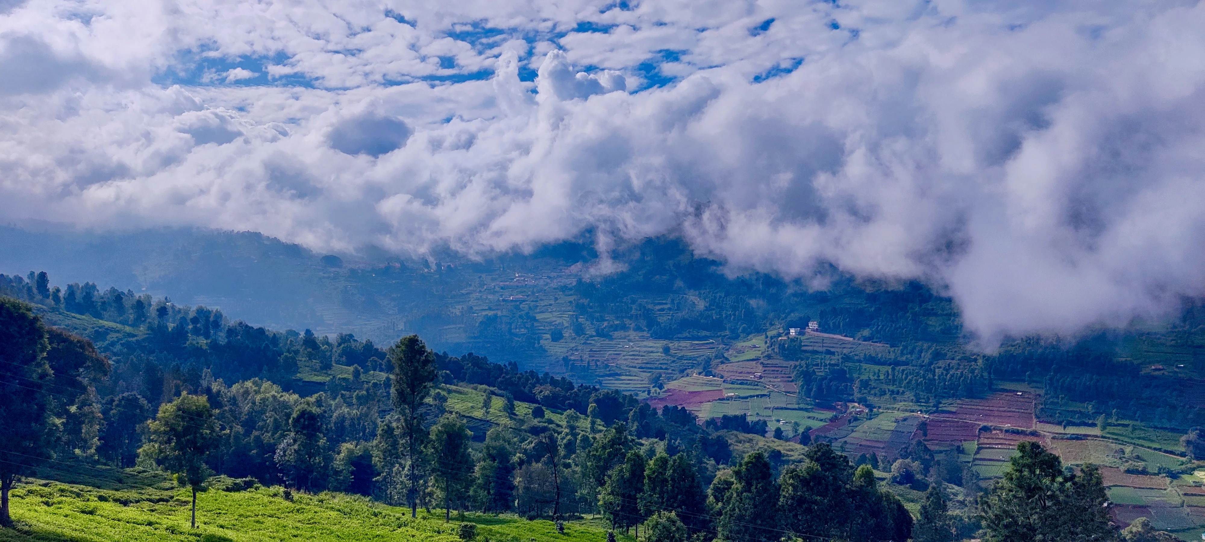 Misty Nilgiri Mountains and Tea Estates background viewed from my home in Ooty